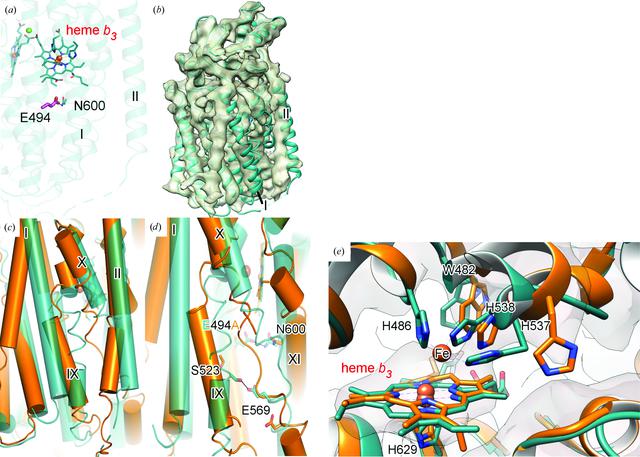 [Figure 5]