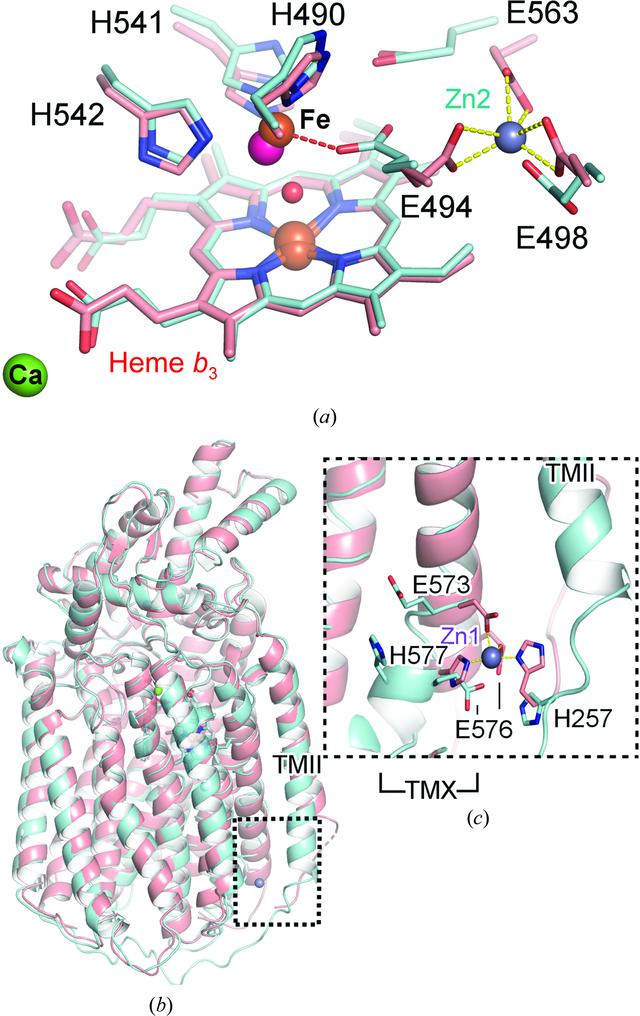 [Figure 6]