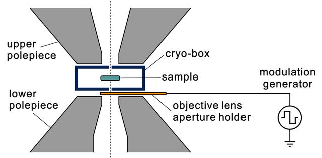 [Figure 4]