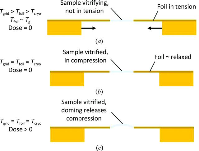 [Figure 2]