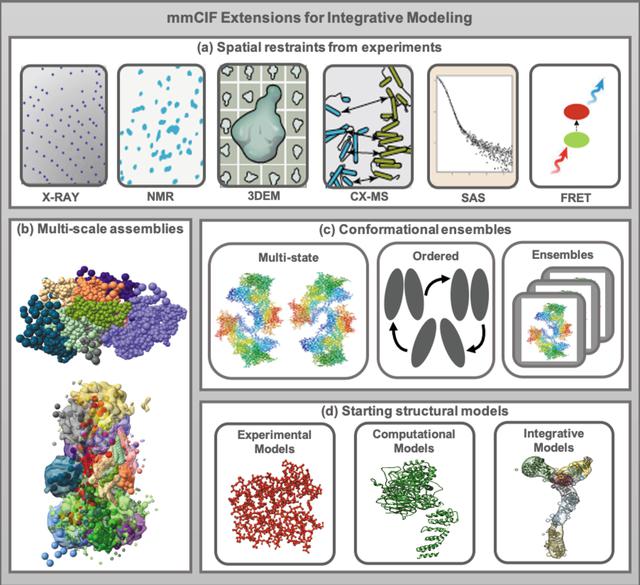 [Figure 6]