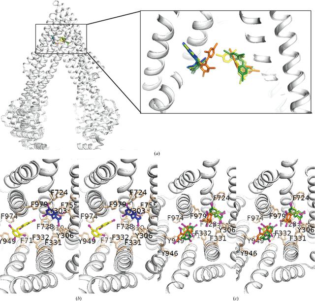 [Figure 2]