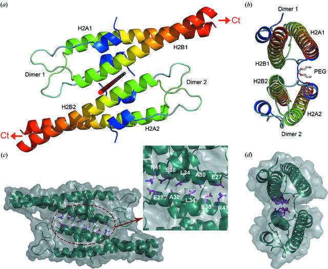 [Figure 2]