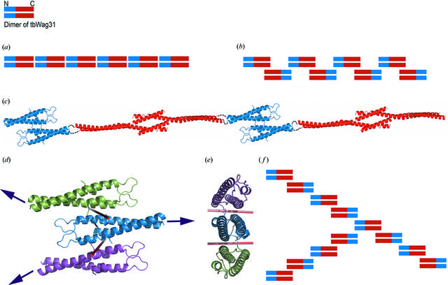 [Figure 5]