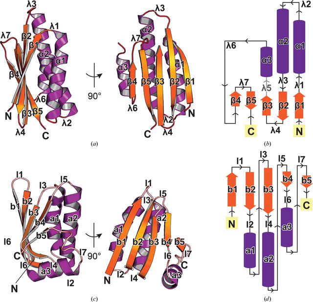 [Figure 2]