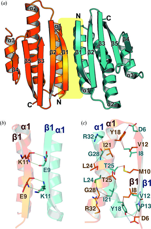 [Figure 3]