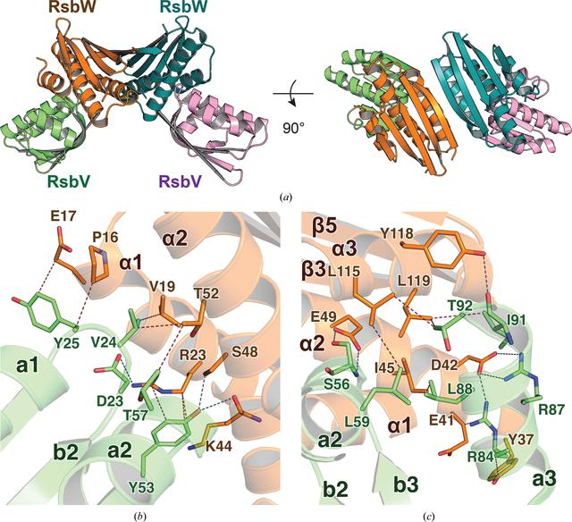 [Figure 4]