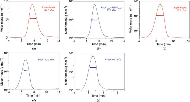 [Figure 5]