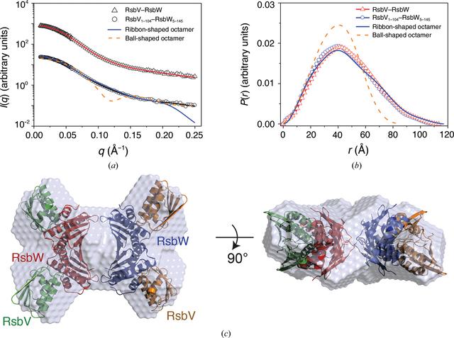 [Figure 6]