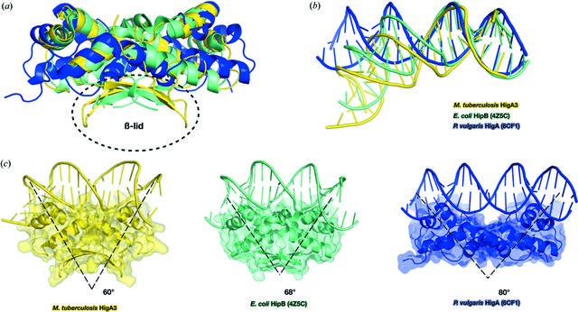 [Figure 6]