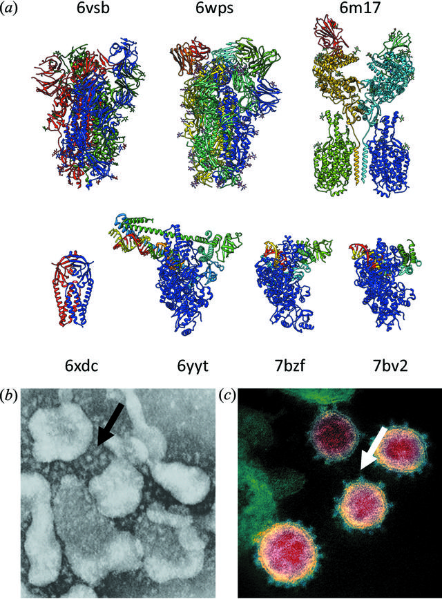 [Figure 1]