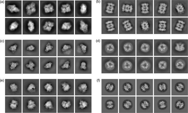 [Figure 5]