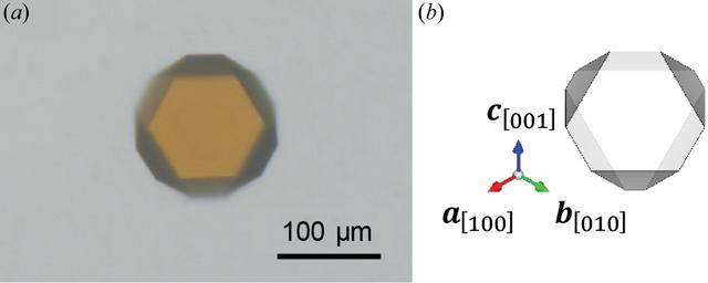 [Figure 1]