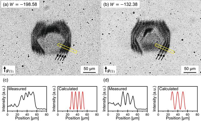 [Figure 4]