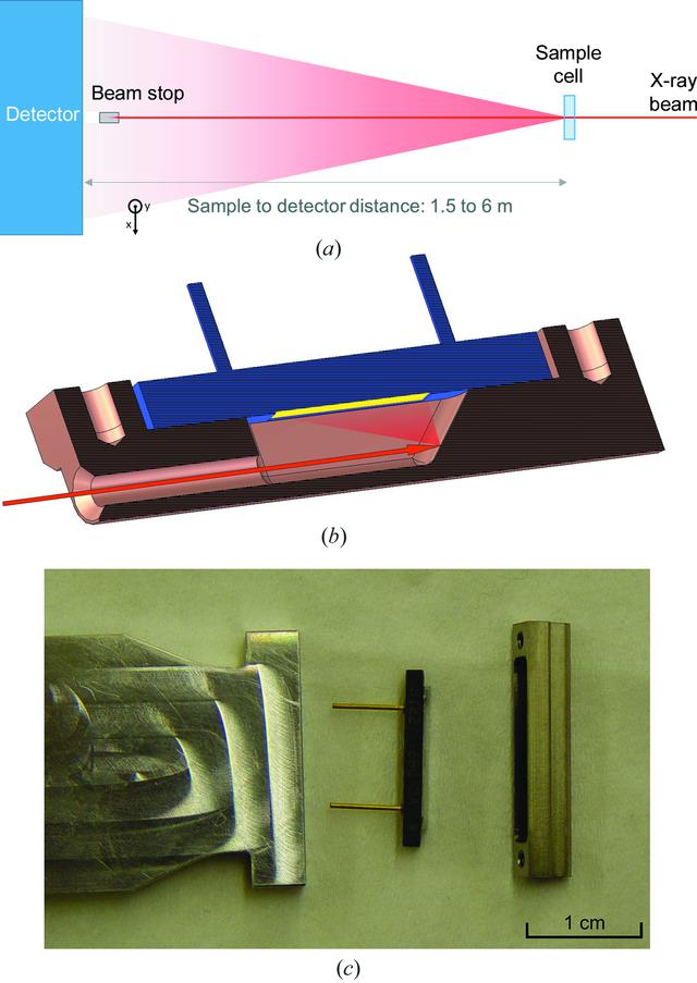 [Figure 1]