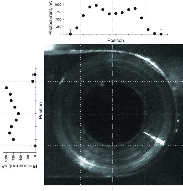 [Figure 3]