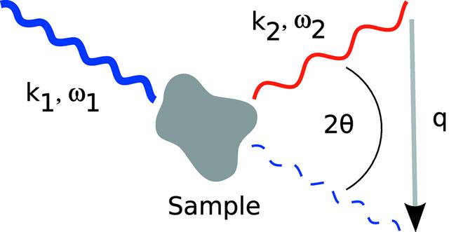 [Figure 1]