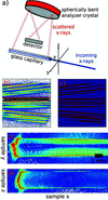 [Figure 5]