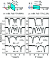 [Figure 4]