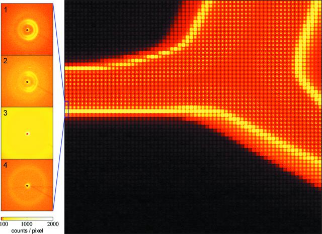 [Figure 3]