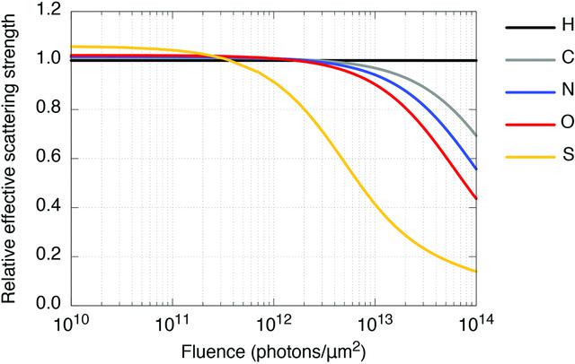 [Figure 1]