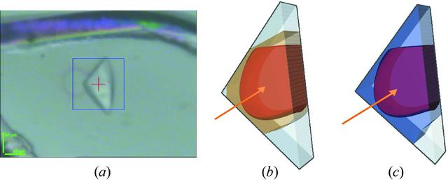 [Figure 2]