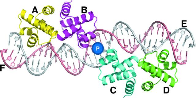 [Figure 3]