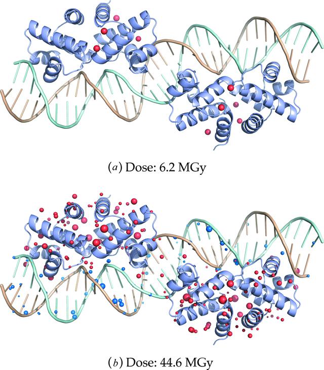 [Figure 7]