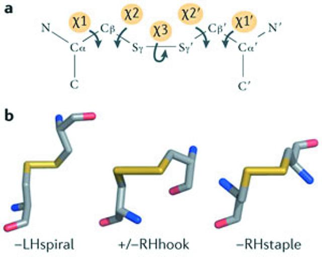 [Figure 3]