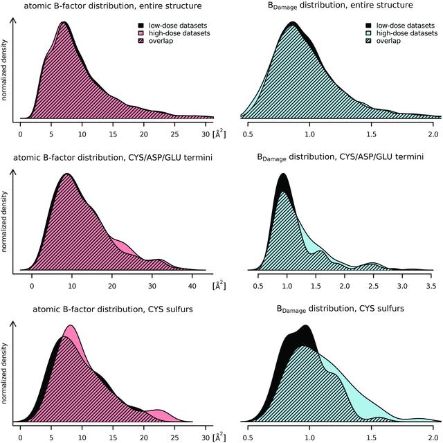 [Figure 4]