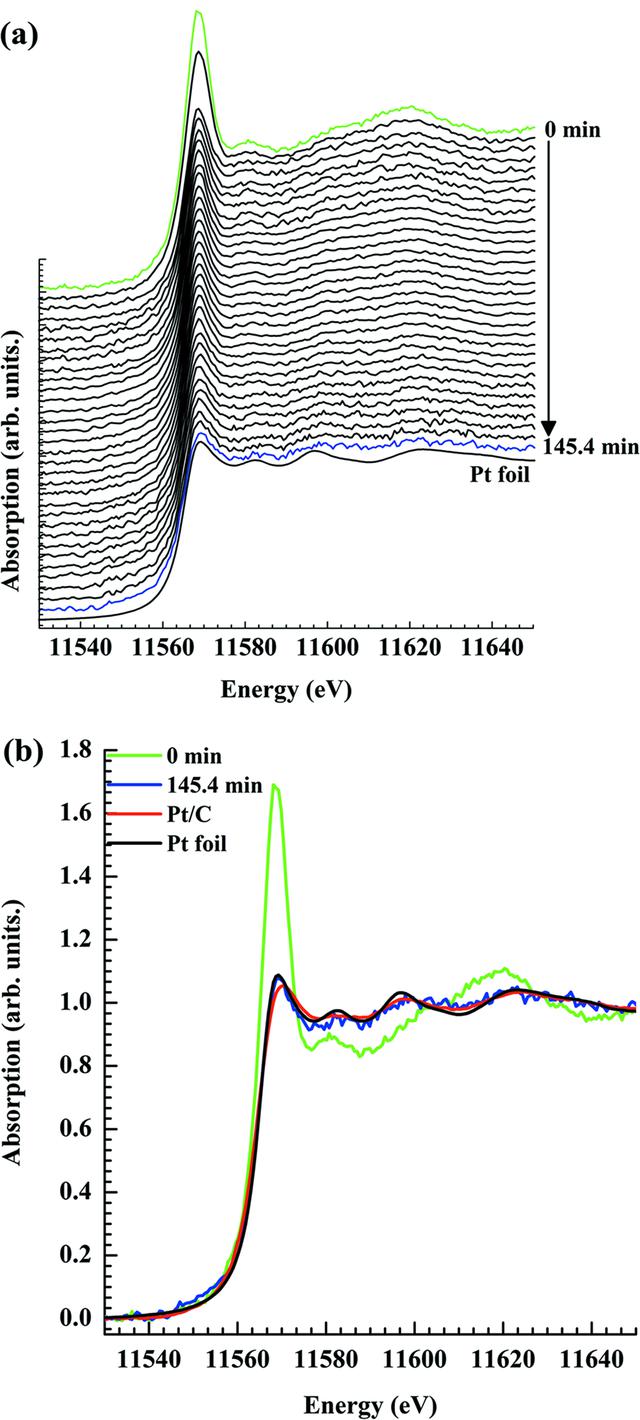 [Figure 4]