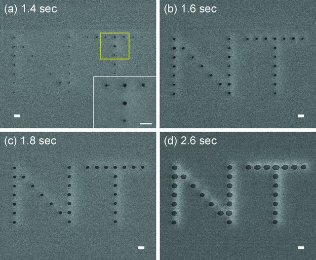 [Figure 2]