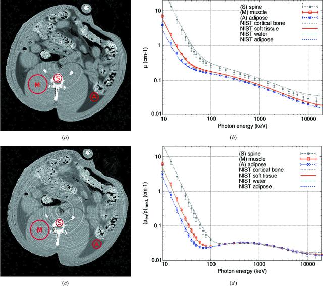 [Figure 10]