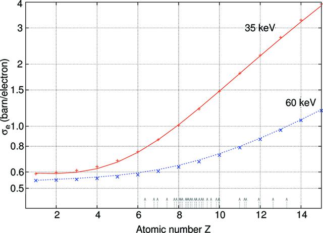 [Figure 5]