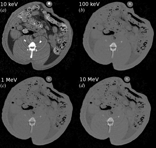 [Figure 9]