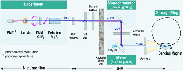 [Figure 1]