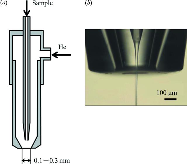 [Figure 4]