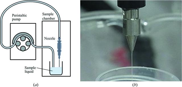 [Figure 5]