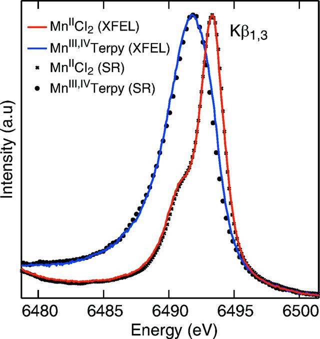 [Figure 2]