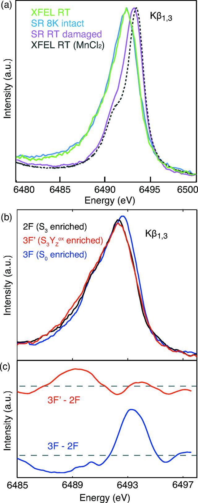 [Figure 4]