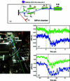 [Figure 5]