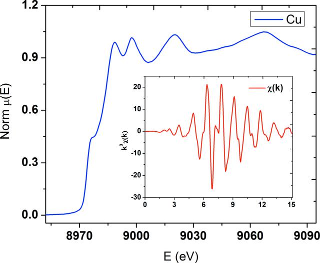 [Figure 5]