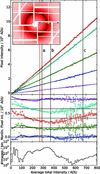 [Figure 1]