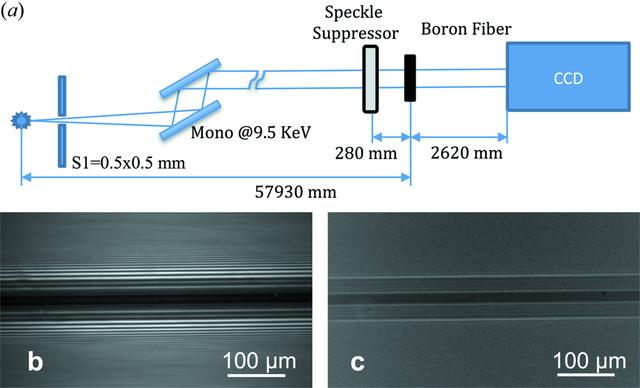 [Figure 2]