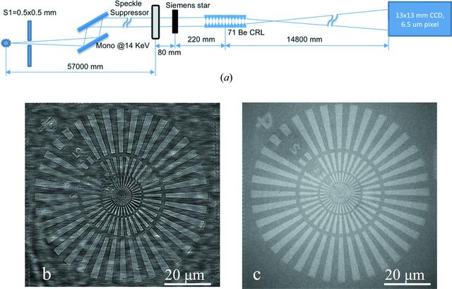 [Figure 3]