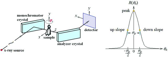 [Figure 1]