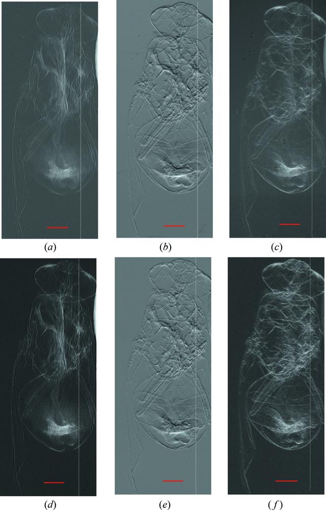 [Figure 3]