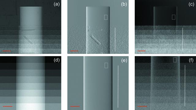 [Figure 5]