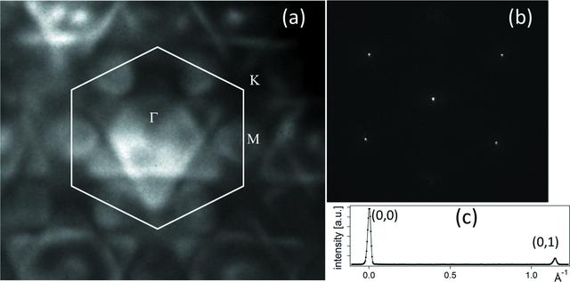 [Figure 12]