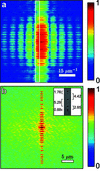 [Figure 2]